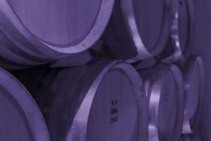 DOP Bierzo: tipos de uvas, vinos, bodegas y zona geográfica - vinos de España