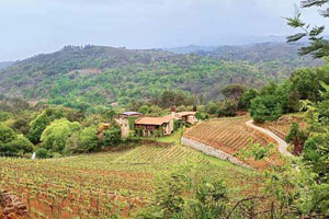 Ruta del vino Ribeiro - vinos de España - enoturismo en Galicia