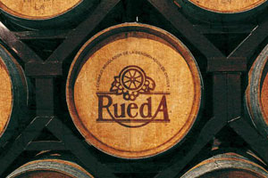 DOP Rueda: tipos de uvas, vinos, bodegas y zona geográfica - vinos de España