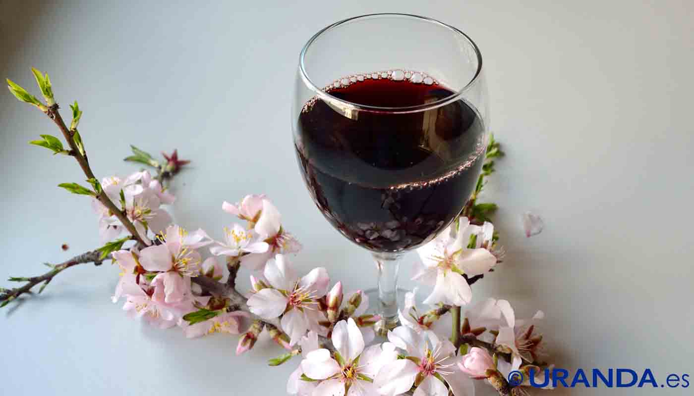 Beneficios del consumo regular y moderado de vino