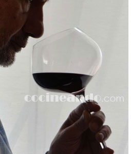 Vocabulario para describir los aromas de los vinos - fase olfativa de la cata de vinos